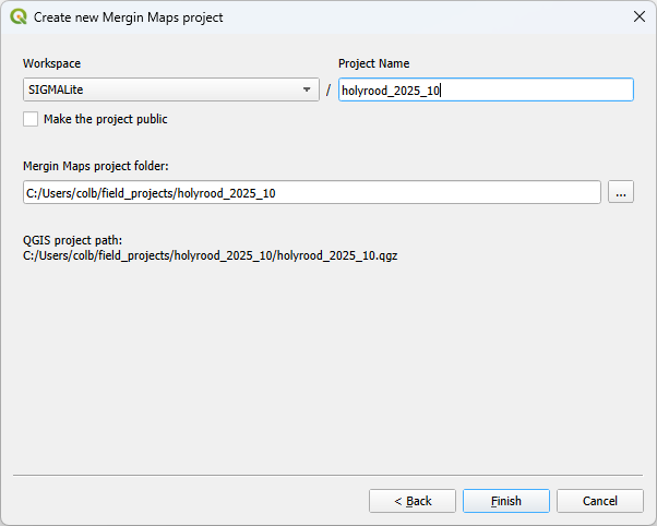 Mergin Maps Project Details